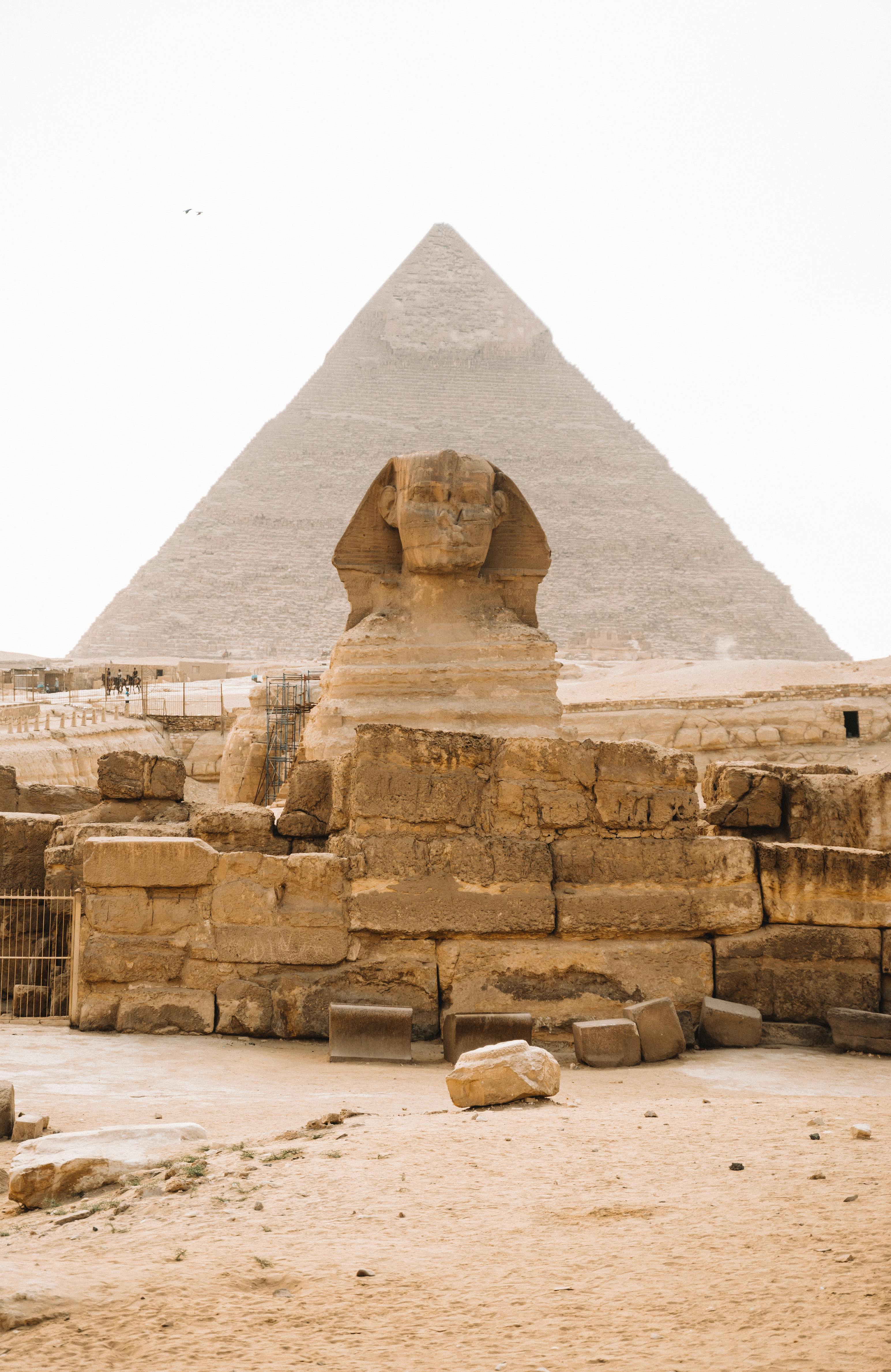Day Trip: Giza Pyramids & Saqqara Complex with Camel Ride