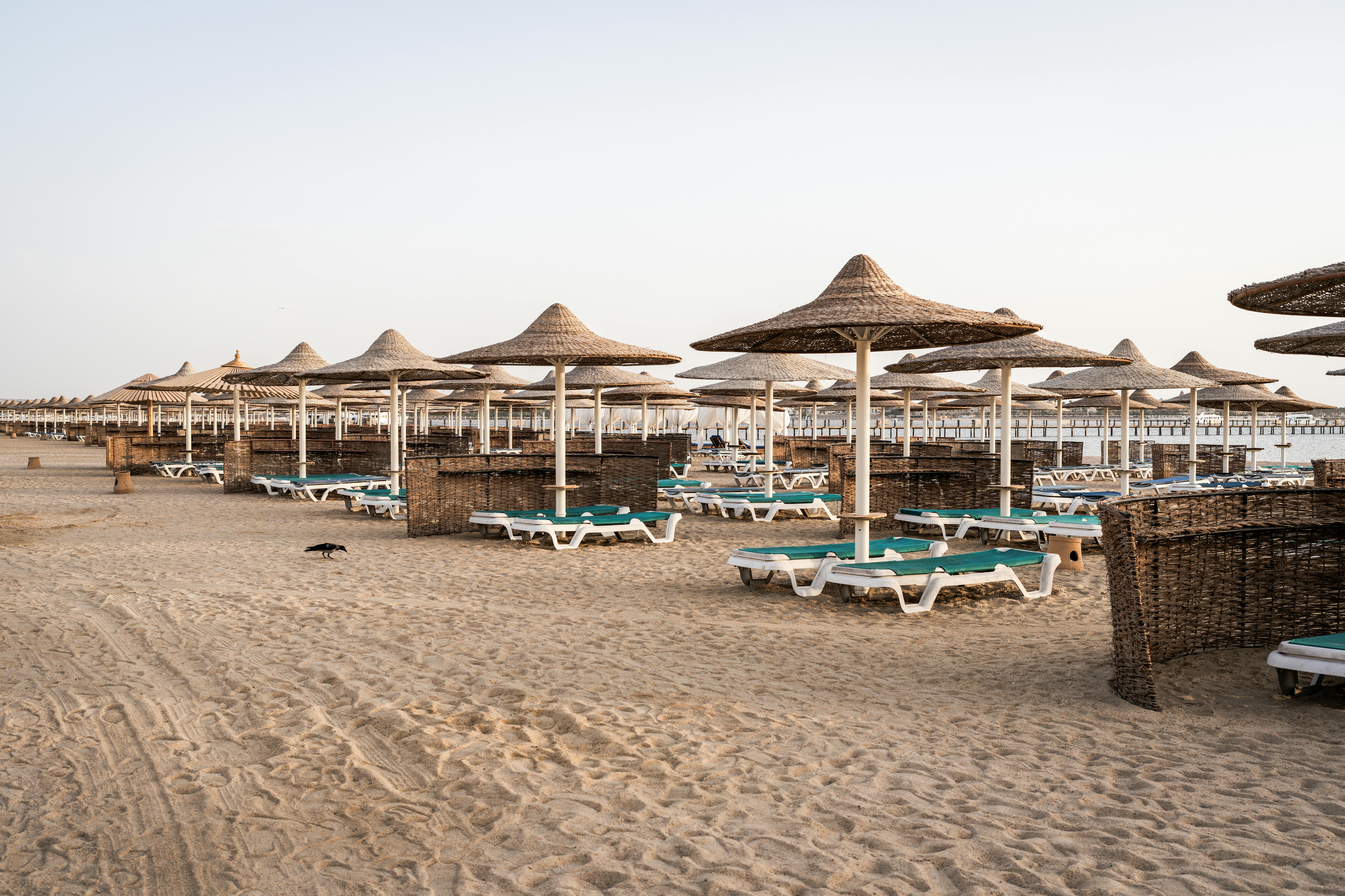 8-Hour Shore Excursion: Hurghada Snorkeling & Desert Safari